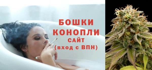 молекула духа Шарыпово