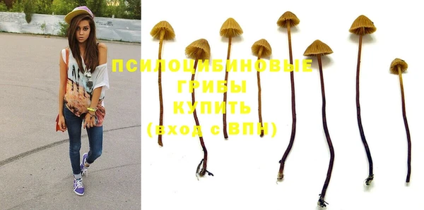 таблы Шали