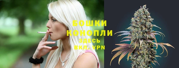 mdpv Белокуриха