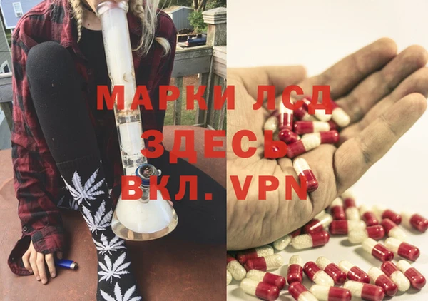 СК Курчалой