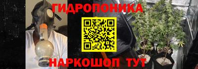 сатива Аргун