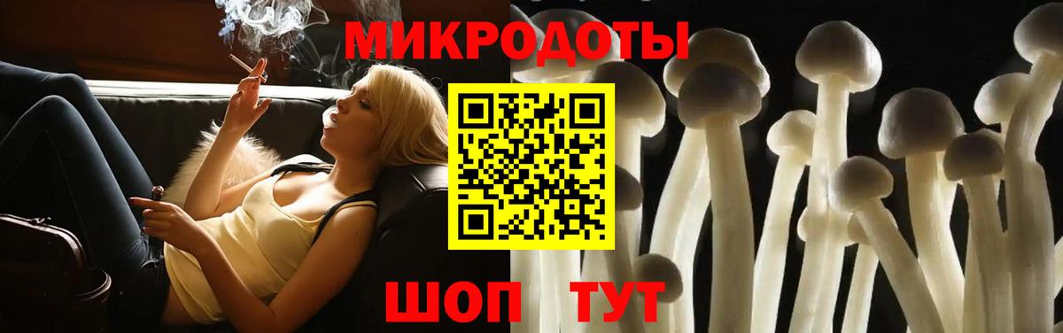Апшеронск  Псилоцибиновые грибы Psilocybine cubensis  Вход с VPN 